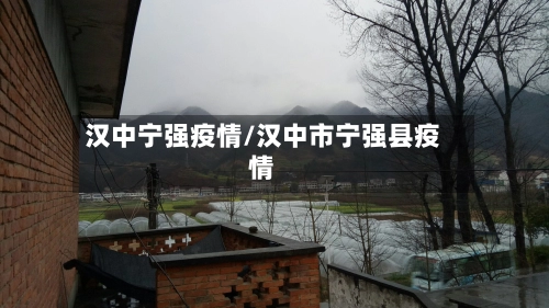 汉中宁强疫情/汉中市宁强县疫情