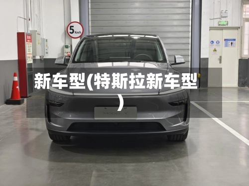 新车型(特斯拉新车型)