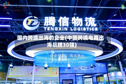 国内跨境出海的企业(中国跨境电商出海品牌30强)