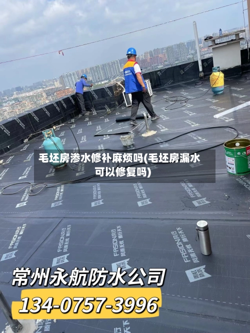 毛坯房渗水修补麻烦吗(毛坯房漏水可以修复吗)
