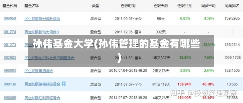 孙伟基金大学(孙伟管理的基金有哪些)
