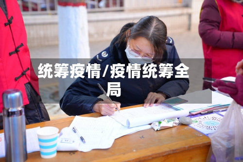 统筹疫情/疫情统筹全局