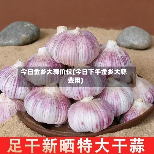 今日金乡大蒜价位(今日下午金乡大蒜费用)