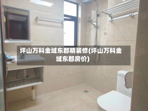 坪山万科金域东郡精装修(坪山万科金域东郡房价)