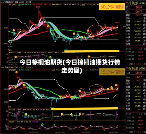 今日棕榈油期货(今日棕榈油期货行情走势图)