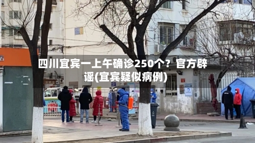 四川宜宾一上午确诊250个?官方辟谣(宜宾疑似病例)-第2张图片