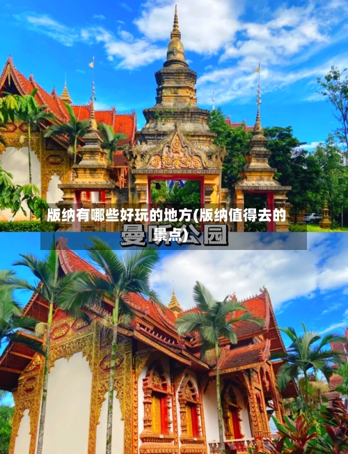 版纳有哪些好玩的地方(版纳值得去的景点)
