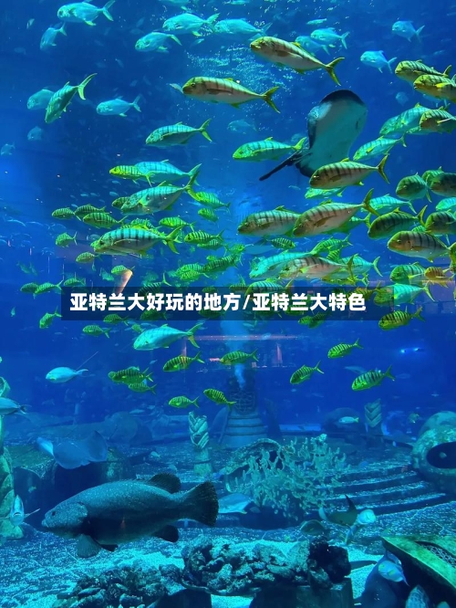 亚特兰大好玩的地方/亚特兰大特色