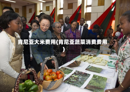 肯尼亚大米费用(肯尼亚蔬菜消费费用)