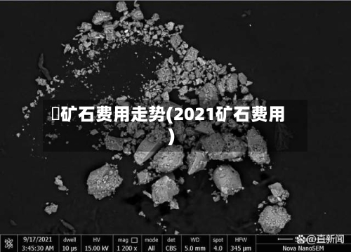鉄矿石费用走势(2021矿石费用)