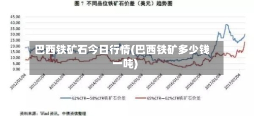 巴西铁矿石今日行情(巴西铁矿多少钱一吨)