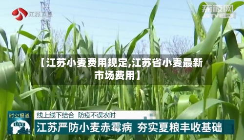 【江苏小麦费用规定,江苏省小麦最新市场费用】