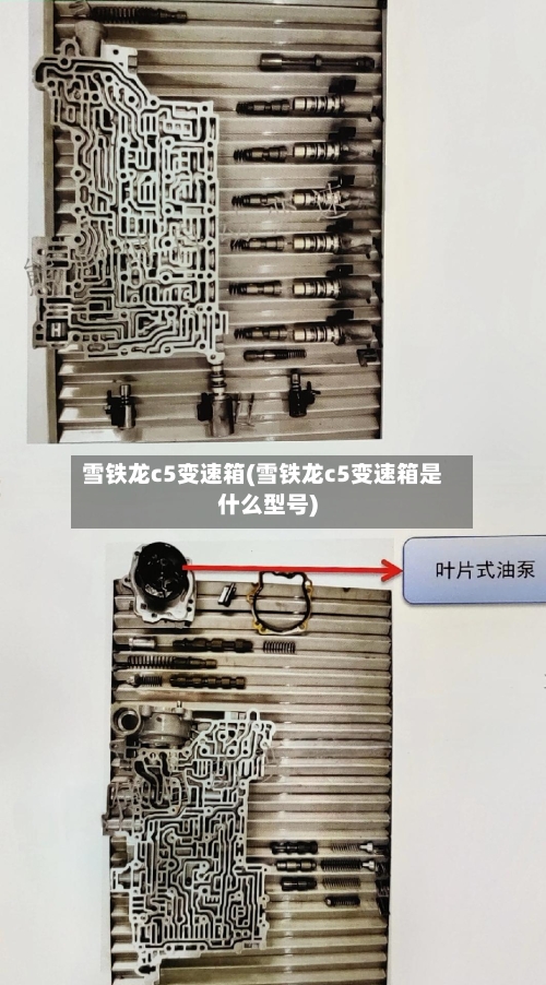雪铁龙c5变速箱(雪铁龙c5变速箱是什么型号)