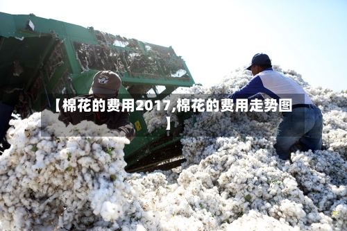 【棉花的费用2017,棉花的费用走势图】
