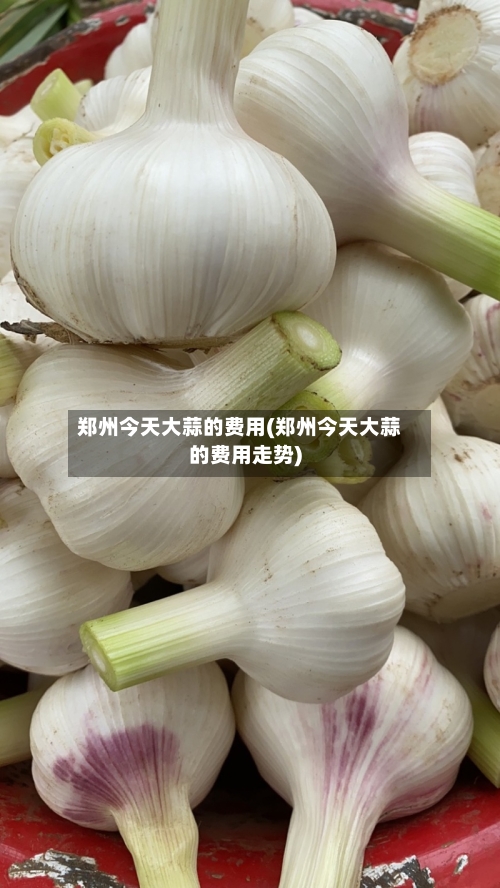 郑州今天大蒜的费用(郑州今天大蒜的费用走势)