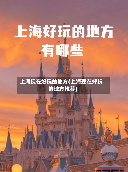 上海现在好玩的地方(上海现在好玩的地方推荐)