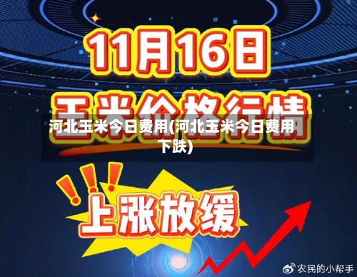 河北玉米今日费用(河北玉米今日费用下跌)
