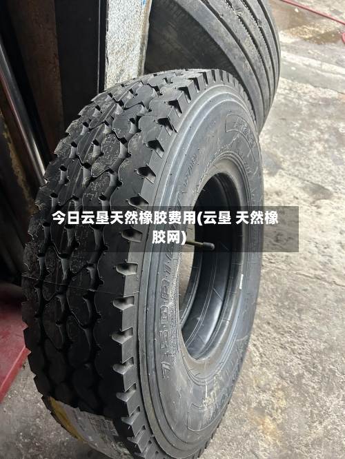 今日云垦天然橡胶费用(云垦 天然橡胶网)