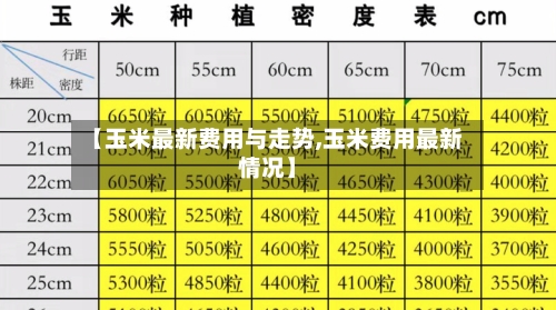【玉米最新费用与走势,玉米费用最新情况】