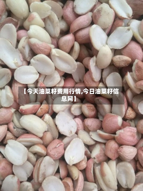 【今天油菜籽费用行情,今日油菜籽信息网】
