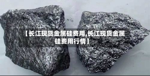 【长江现货金属硅费用,长江现货金属硅费用行情】