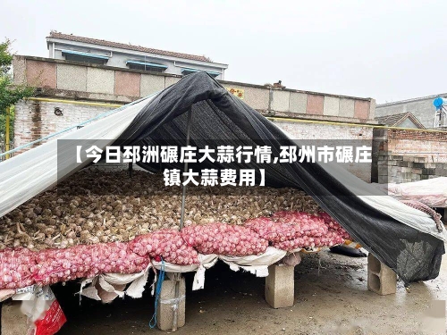 【今日邳洲碾庄大蒜行情,邳州市碾庄镇大蒜费用】-第2张图片