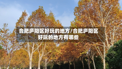 合肥庐阳区好玩的地方/合肥庐阳区好玩的地方有哪些-第2张图片