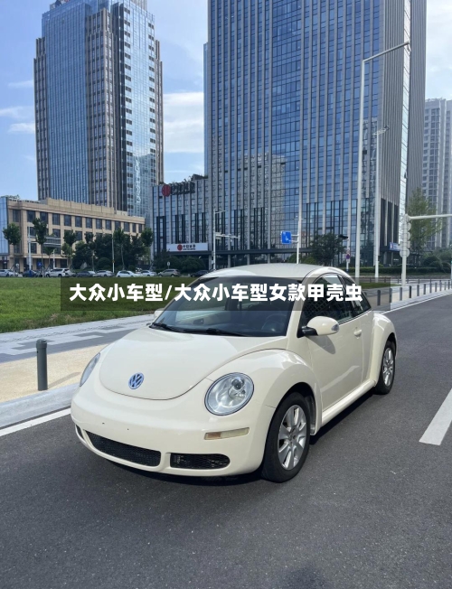 大众小车型/大众小车型女款甲壳虫
