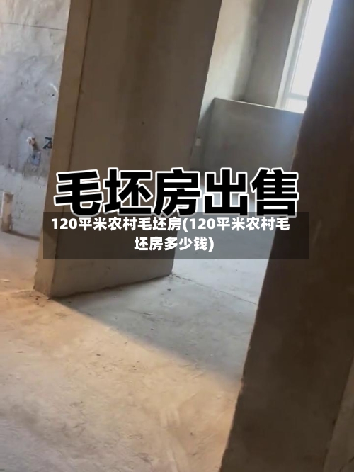 120平米农村毛坯房(120平米农村毛坯房多少钱)-第3张图片