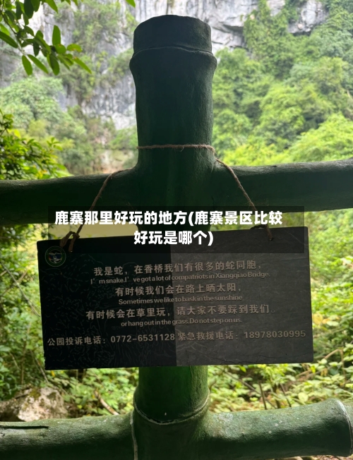 鹿寨那里好玩的地方(鹿寨景区比较好玩是哪个)