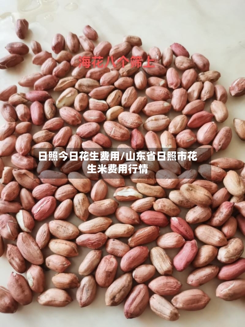 日照今日花生费用/山东省日照市花生米费用行情