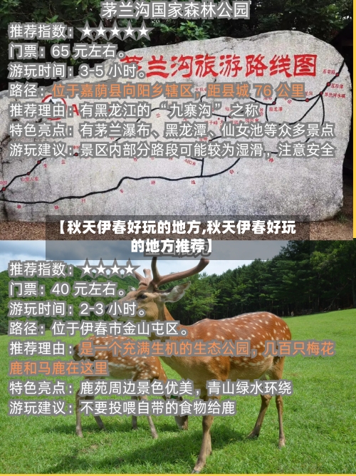 【秋天伊春好玩的地方,秋天伊春好玩的地方推荐】
