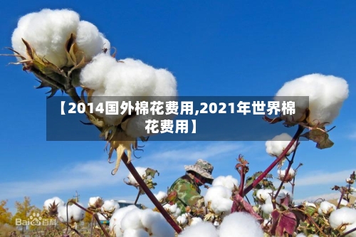 【2014国外棉花费用,2021年世界棉花费用】-第2张图片