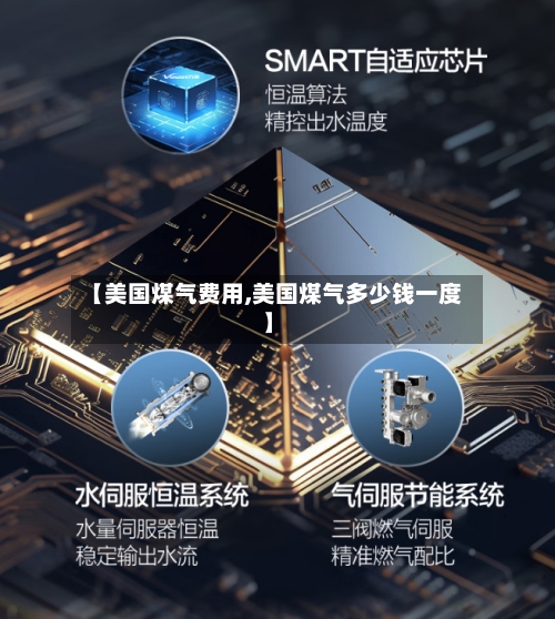 【美国煤气费用,美国煤气多少钱一度】-第2张图片