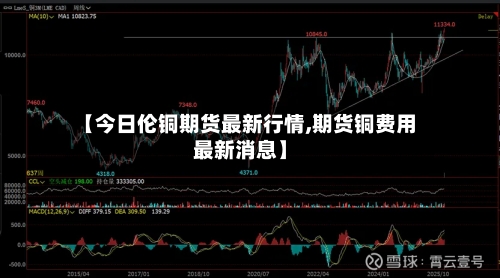 【今日伦铜期货最新行情,期货铜费用最新消息】-第2张图片