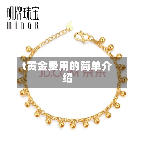 t黄金费用的简单介绍