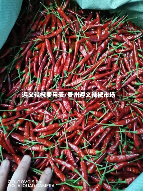 遵义辣椒费用表/贵州遵义辣椒市场