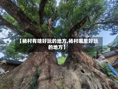 【杨村有啥好玩的地方,杨村哪里好玩的地方】-第2张图片