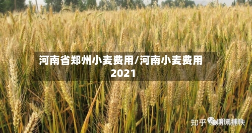 河南省郑州小麦费用/河南小麦费用2021-第2张图片