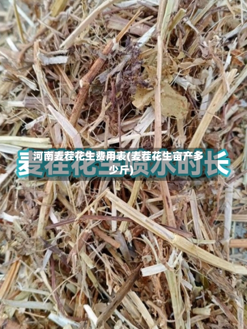 河南麦茬花生费用表(麦茬花生亩产多少斤)-第2张图片
