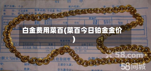 白金费用菜百(菜百今日铂金金价)-第2张图片