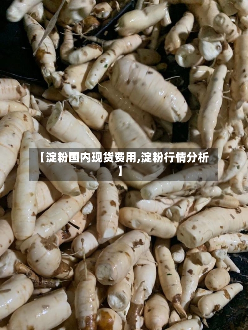 【淀粉国内现货费用,淀粉行情分析】-第2张图片