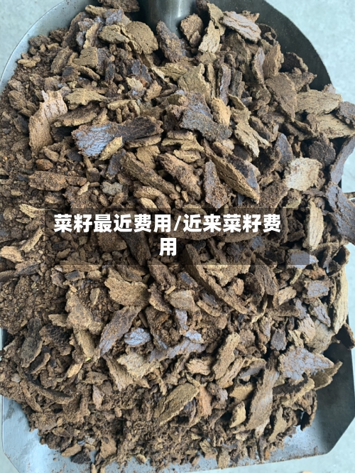 菜籽最近费用/近来菜籽费用-第2张图片