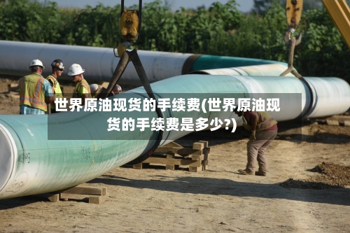 世界原油现货的手续费(世界原油现货的手续费是多少?)-第2张图片