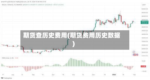 期货查历史费用(期货费用历史数据)