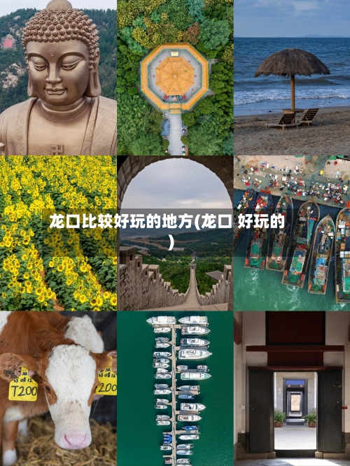 龙口比较好玩的地方(龙口 好玩的)