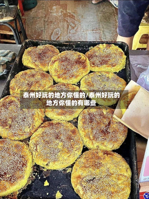 泰州好玩的地方你懂的/泰州好玩的地方你懂的有哪些