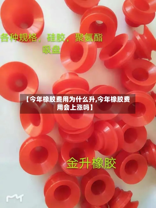 【今年橡胶费用为什么升,今年橡胶费用会上涨吗】