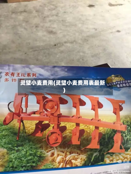 灵璧小麦费用(灵璧小麦费用表最新)-第2张图片