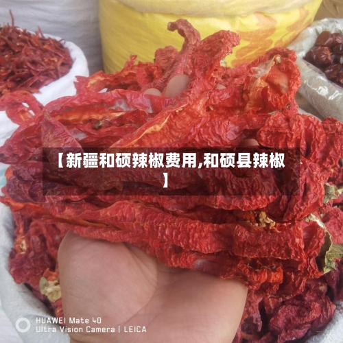 【新疆和硕辣椒费用,和硕县辣椒】
